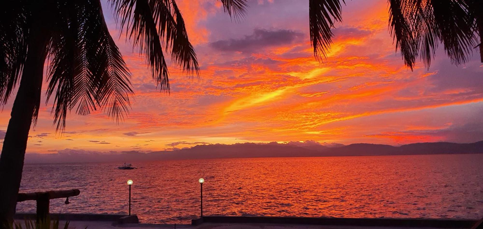 Tauig Beach Resort Moalboal Pokoj fotografie